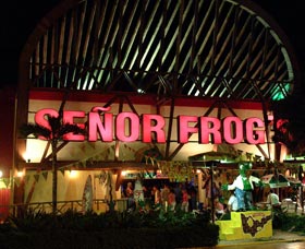 senor frogs cancun