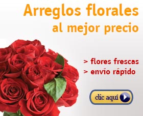 enviar flores por internet arreglos florales al mejor precio amazon flores