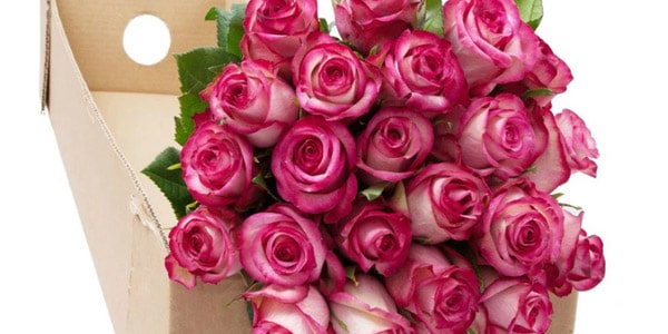 flores para mamá rosas
