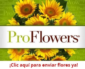 proflowers ad enviar flores por internet