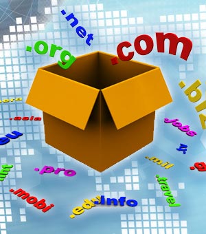 como registrar un dominio por internet domain online
