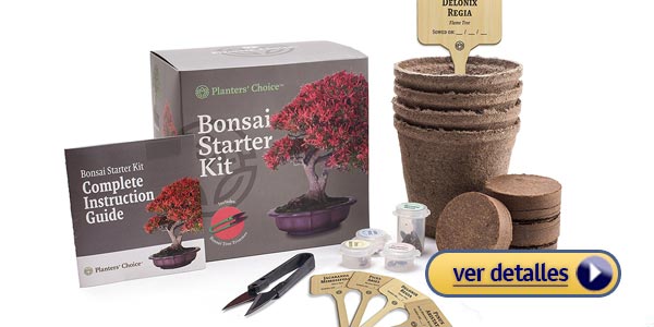 Mejores regalos por menos de 25 dolares Kit de arbol de Bonsai