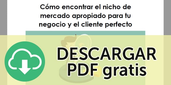 nichos de mercado pdf