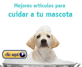 cuidar a una mascota comprar cosas de mascotas