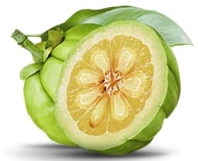 Garcinia Cambogia fruta perder peso adelgazar