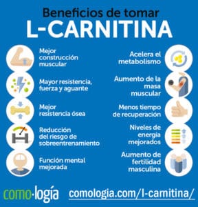 creatina con l carnitina