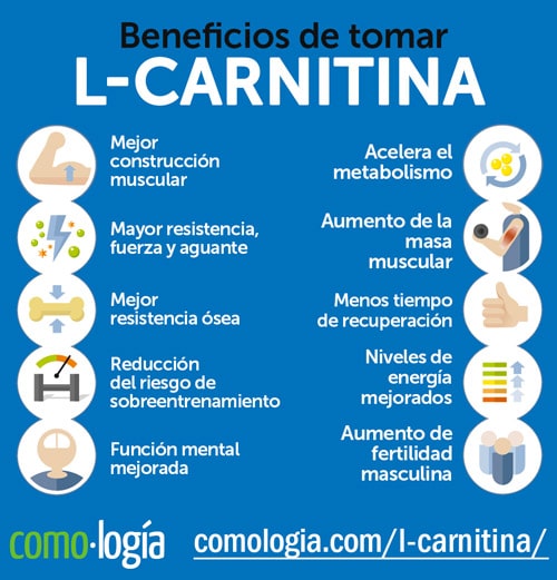 l carnitina beneficios dosis efectos secundarios