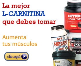 suplementos gym lcarnitina