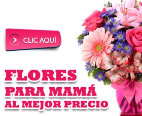 flores para mama dia de las madres cumpleaños