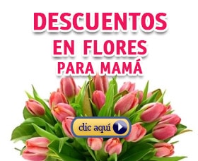 ideas del regalo para el día de las madres flores