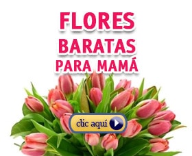 regalos baratos para mamá flores baratas para mamá