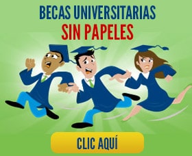 becas sin papeles universidad college