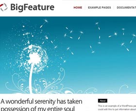 Plantillas WordPress blog: Big Feature