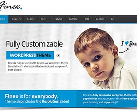 Temas WordPress multiusos FINEX