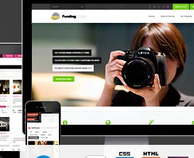 Temas WordPress para Crowdfunding Fundingpress