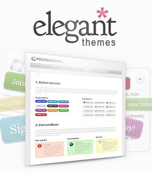 que es elegant themes análisis