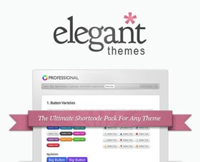 vale la pena elegant themes