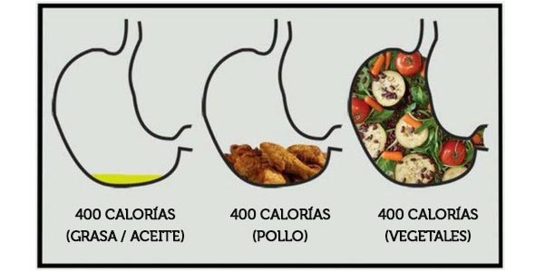 dieta volumetrica calorias adelgazar perder peso
