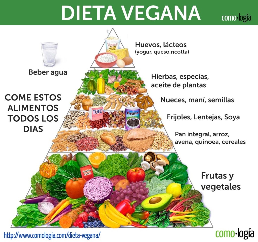 dieta vegana pirámide