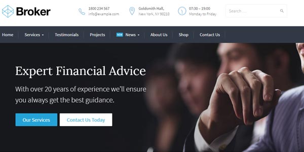 Mejor tema WordPress para negocios financieros Broker