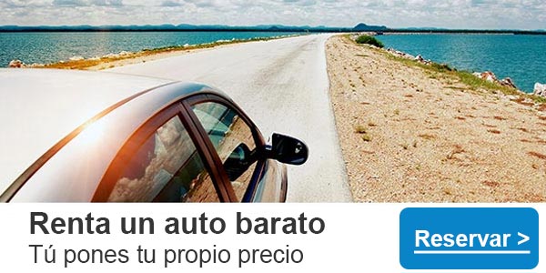 Seguro de alquiler de autos: Priceline