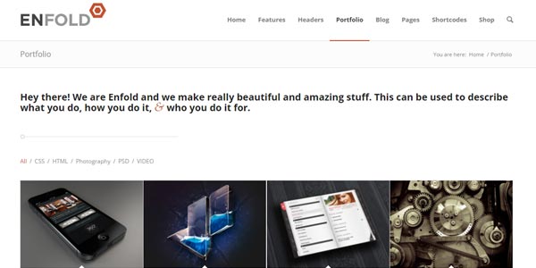Temas WordPress para fotógrafos: Enfold