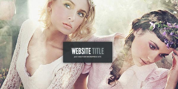 Themes WordPress para fotos: Gleam