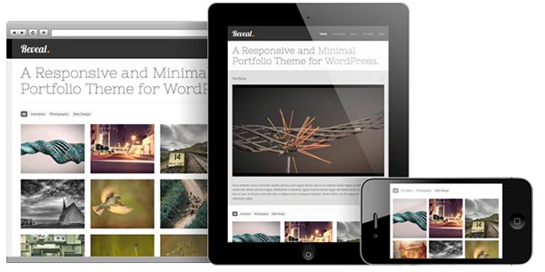 Temas WP responsive: Reveal