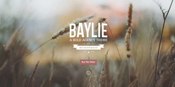 Temas WordPress de una sola página: Baylie