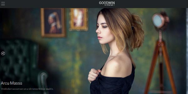 Temas wordpress para mostrar videos y fotos goodwin