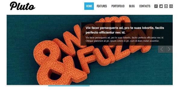 Temas WordPress para videos: Pluto