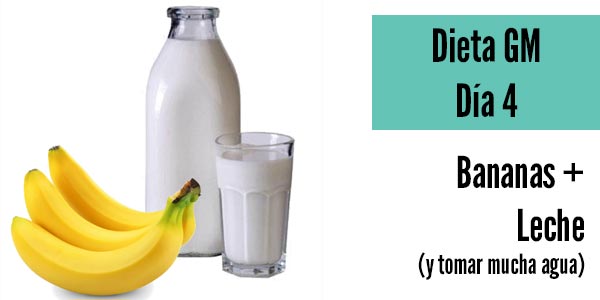 Dieta gm dia 4 bananas leche tomar agua