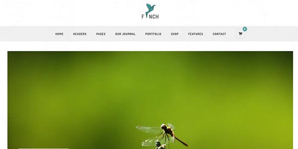 Mejores temas wordpress para seo finch