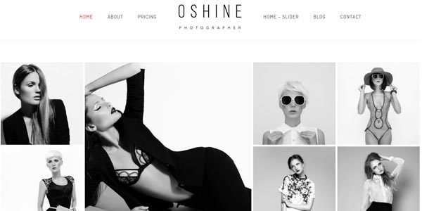 Plantillas wordpress modernas oshine