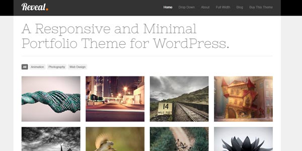 Temas wordpress creativos reveal