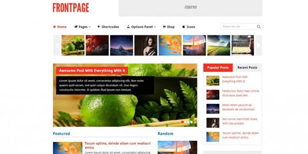 Temas wordpress especiales para google adsense frontpage