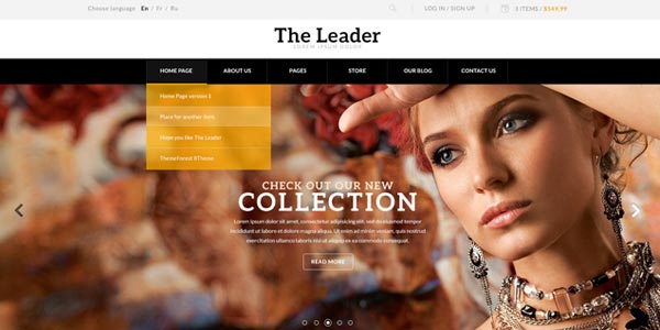Temas wordpress para revistas y tiendas online the leader