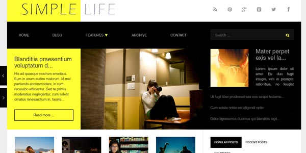 Themes wordpress para un blog con google adsense simple life