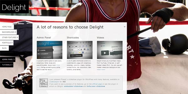 Temas wordpress con constructor de paginas delight