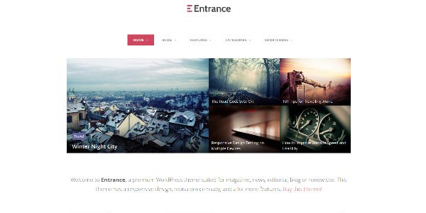 Temas wordpress de reviews entrance