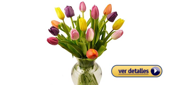 Arreglos florales baratos para San Valentín: Tulipanes