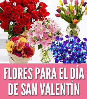 flores para regalar el Día de San Valentín