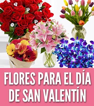 Mejores flores para regalar el Día de San Valentín 2023 y qué significan