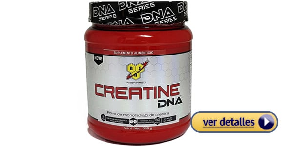 Creatina DNA Series polvo de creatina