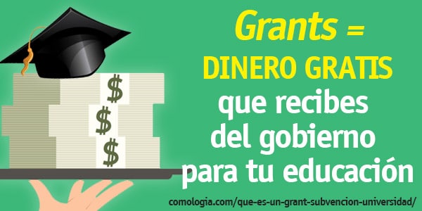 que es un grant subvencion