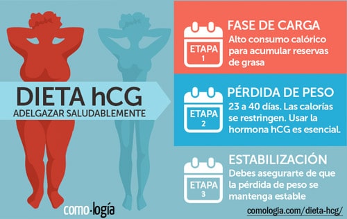 Fases de la Dieta hCG para adelgazar