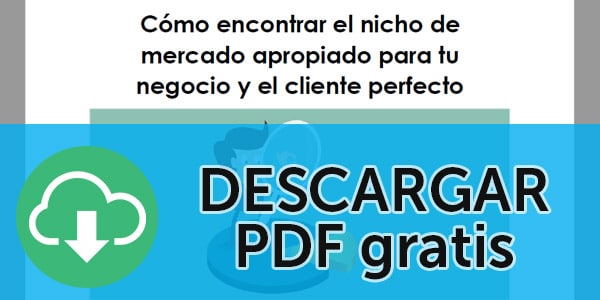 descargar pdf nichos youtube