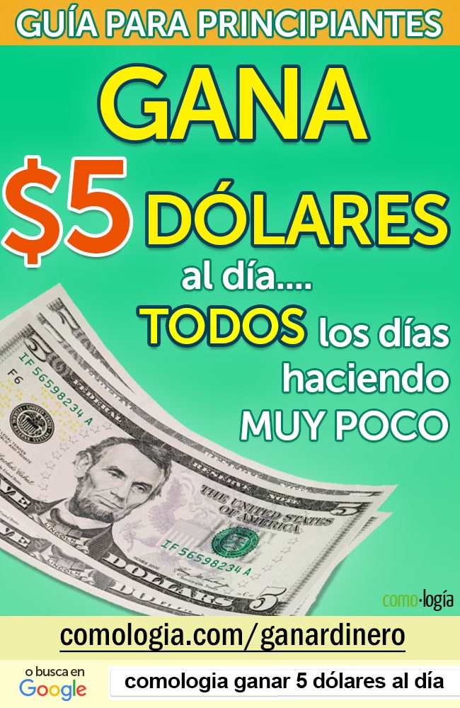 5 dolares al dia